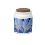 Lotus flower and meaning candy jar