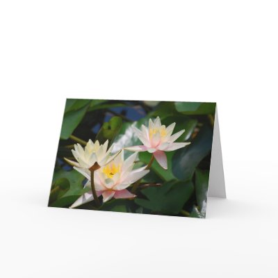 Lotus+Flower+Meaning+In+Japan