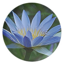 Lotus flower and meaning dinner plates
