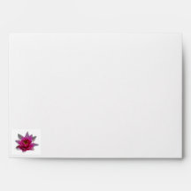 Lotus flower and meaning envelopes