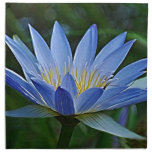 Lotus flower and meaning napkin