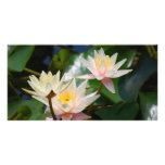Lotus flower and meaning personalized photo card