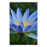 Lotus flower and meaning personalized stationery