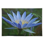 Lotus flower and meaning place mats
