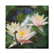 Lotus flower and meaning refrigerator magnets