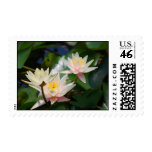 Lotus flower and meaning stamps