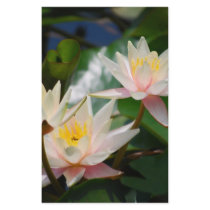 Lotus flower and meaning stationery design