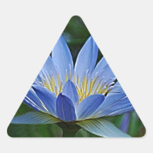 Lotus flower and meaning triangle stickers