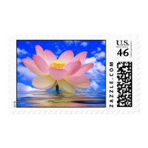 Lotus Flower Born in Water Postage Stamp