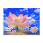 Lotus Flower Born in Water Postcards