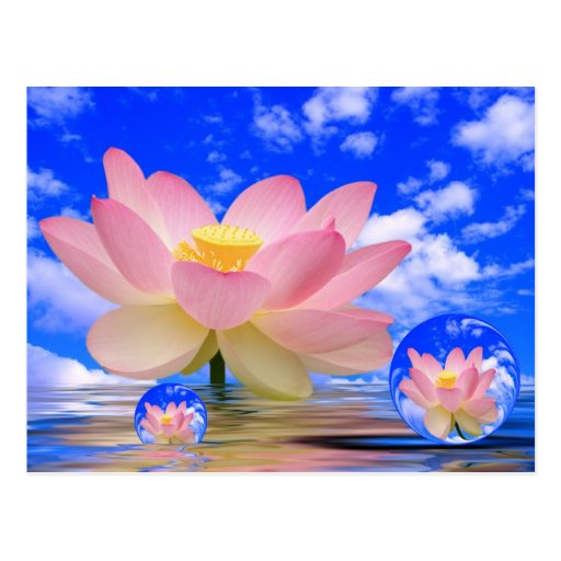  - lotus_flower_born_in_water_postcards-rb005b1163a50496ab0b0d95053a8e693_vgbaq_8byvr_512
