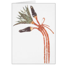 Lotus Flower & Buds Greeting Cards