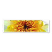 lotus  flower bumper sticker