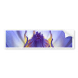 lotus  flower bumper stickers