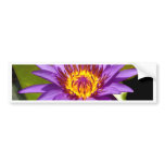 lotus  flower bumper stickers