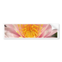 lotus  flower bumper stickers