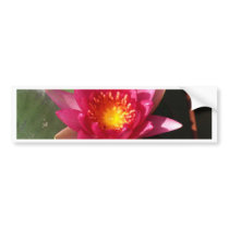 lotus  flower bumper sticker