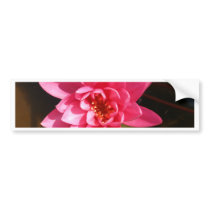 lotus  flower bumper stickers