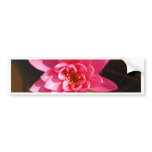 lotus  flower bumper stickers