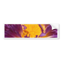lotus  flower bumper sticker