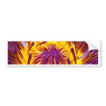 lotus  flower bumper stickers