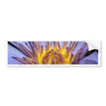 lotus  flower bumper stickers
