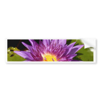 lotus  flower bumper stickers
