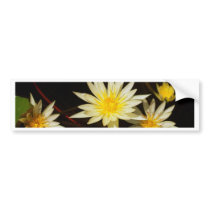 lotus  flower bumper stickers