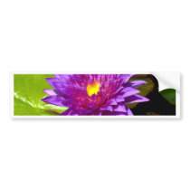 lotus  flower bumper stickers