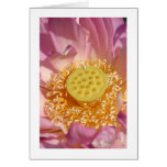Lotus Flower Greeting Card