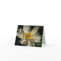 Lotus  Flower, Deepest Sympathy cards