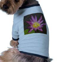 lotus  flower pet clothing