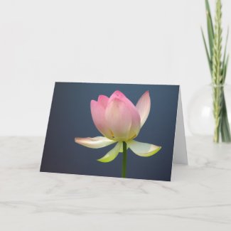 lotus flower greeting cards card