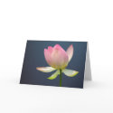 lotus flower greeting cards