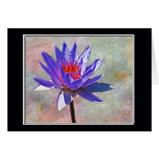 Lotus Flower Happy Birthday Card Zazzle