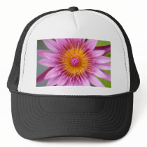 lotus  flower mesh hats