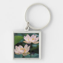 Lotus flower in blossom, China Keychain