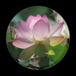 Lotus Flower Magnet