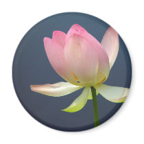 lotus flower magnet