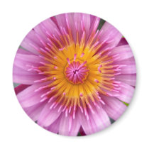 lotus  flower refrigerator magnets
