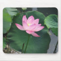 Lotus flower mousepads