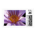 lotus  flower postage