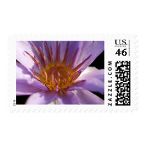 lotus flower postage by naturelife lotus flower postage
