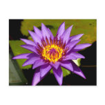 lotus  flower post card