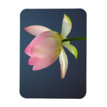 Lotus Flower Premium Magnet
