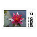 lotus flower stamp by aslentz lotus flower stamp