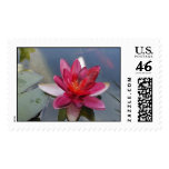 lotus flower stamp