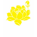 Lotus Flower t-shirts