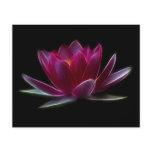 Lotus Flower Water Plant Full Color Flyer
