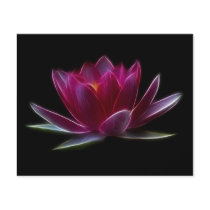 Lotus Flower Water Plant Full Color Flyer
